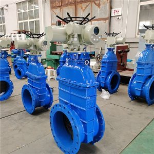 電動(dòng)閘閥Z941h -64 DN500（石化行業(yè)、煉油廠